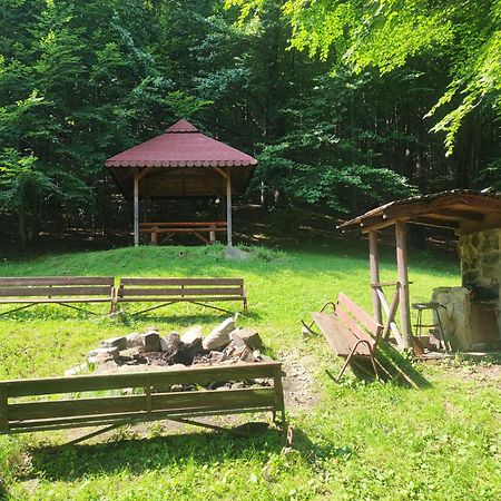 Apartament Widokowy Z Tarasem Bukowa Wisła Exteriör bild
